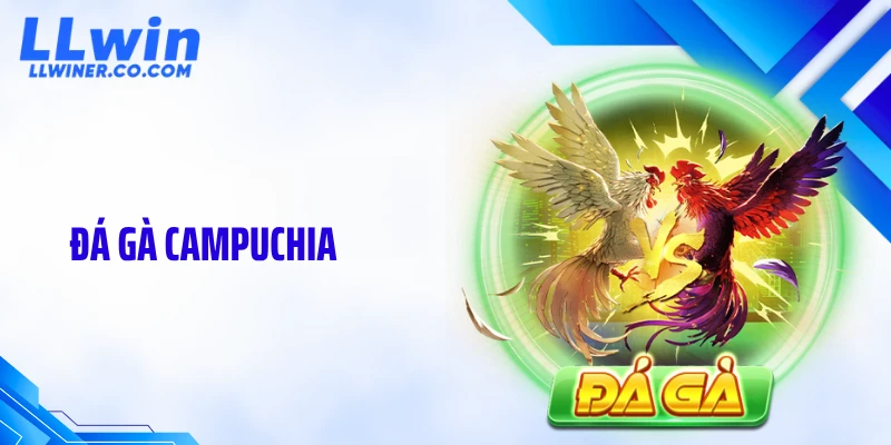 Đá Gà Campuchia LLWIN: Sức Hút Và Độ Chuyên Nghiệp Vượt Trội